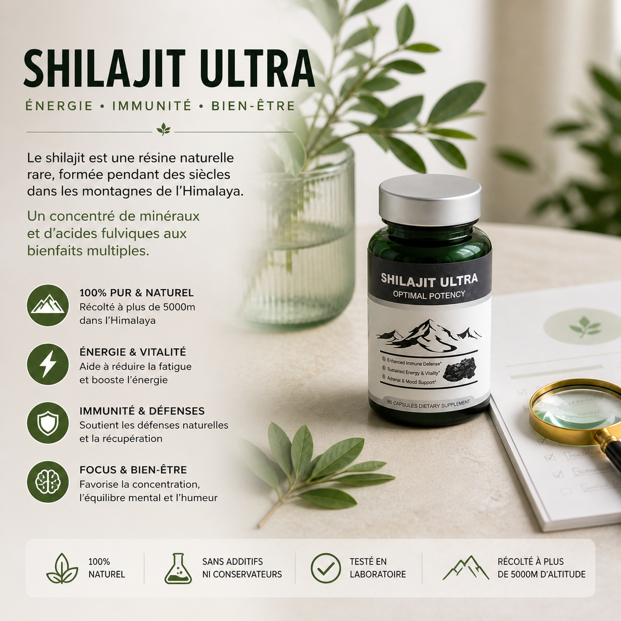 Shilajit en Gélules – Énergie & Vitalité
