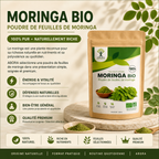 Moringa – Poudre naturelle