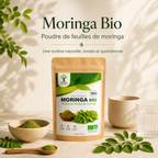 Moringa – Poudre naturelle